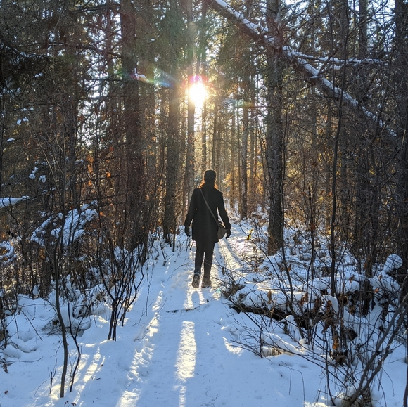 Meet your Posher, Sophie - Picture 2 of 3